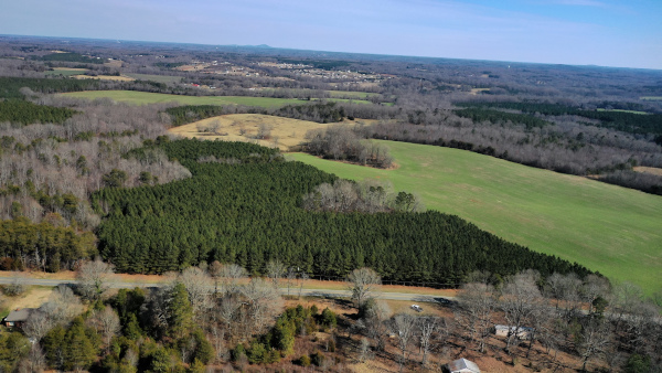 View of forest and fields from above